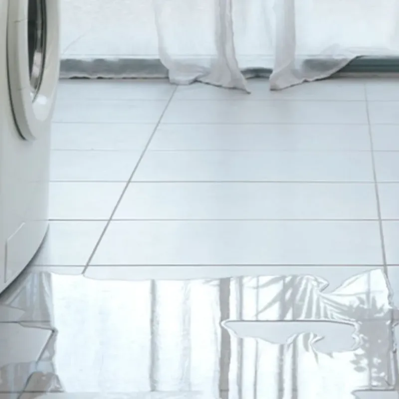 Appliance Leak Cleanup in Boyceville, WI